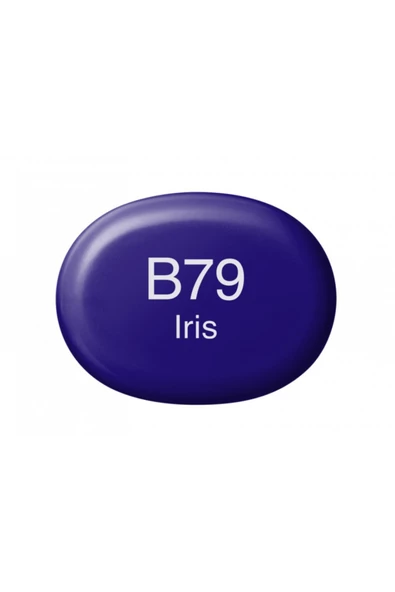 Copic Sketch Marker Kalemi B79