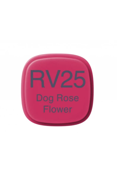 Copic Marker Kalemi RV25 Dog Rose Flower