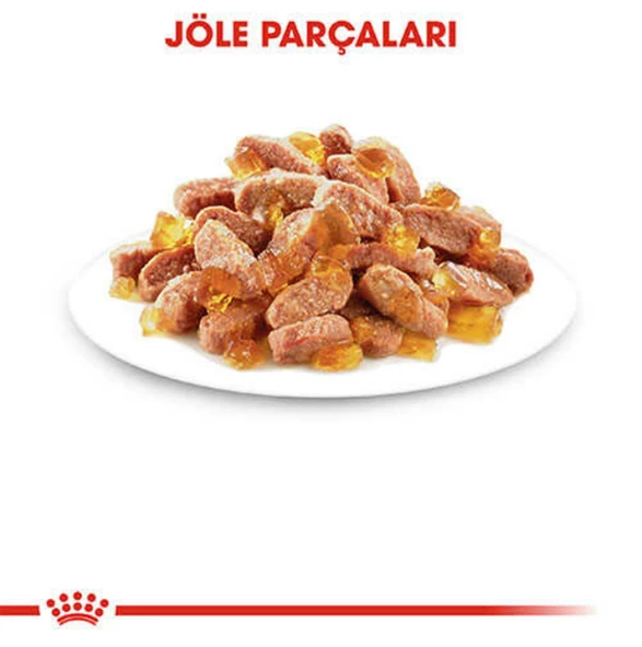 Royal Canin Kitten Jelly Yavru Kedi Konserve 85 Gr - 4