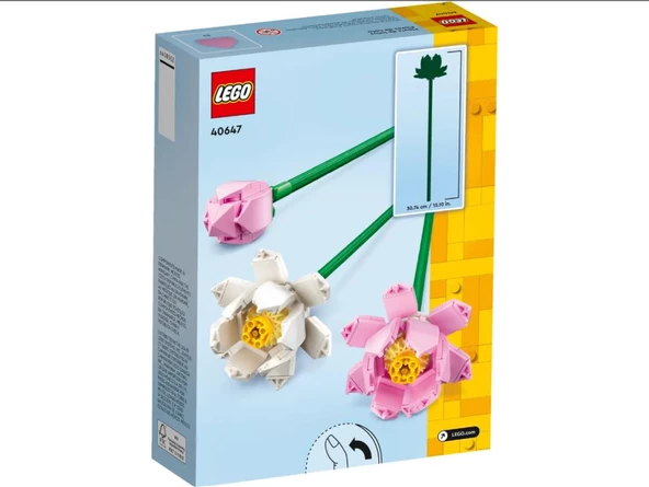 LEGO Iconic 40647 Lotus Çiçekleri (220 Parça) - 3