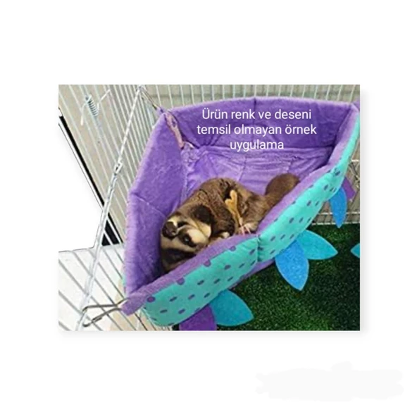 Sincap, Sugar Glider Yuvası (29cm*29cm*43cm; H:11cm) 1Ad. - 4