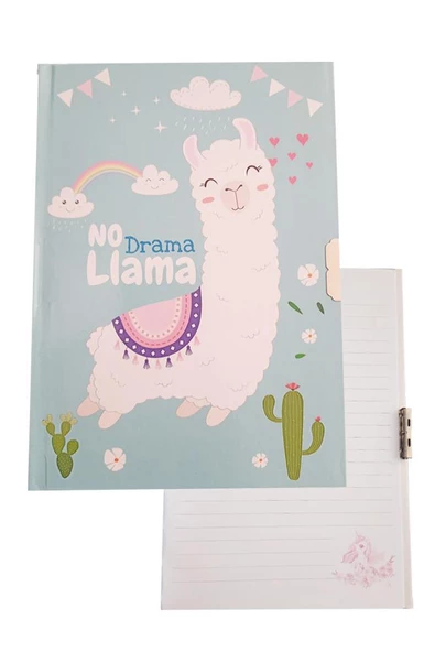 Hatıra Defteri Kilitli Kız Modeli Günlük Defteri 1 Adet Mcolor Sert Kapak Çizgili 14x20 cm Anı Defteri - 8