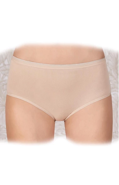 Kadın Yüksel Bel Modal Külot 6 lı Bato Berrak-2321 - 2