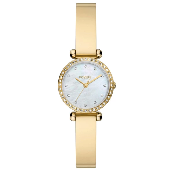 Fossıl FBQ3895 Kadın Kol Saati ürün görseli