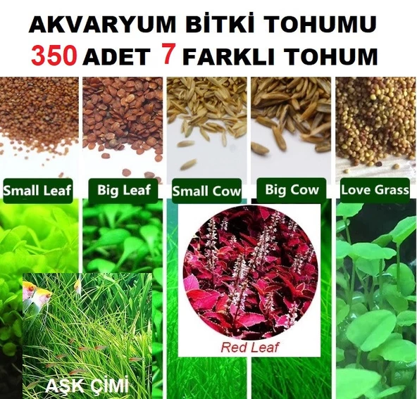 350 Adet 7 Farklı Akvaryum Bitkisi Tohumu + 10 Adet Karışık Gül Tohumu (KARGO BEDAVA)