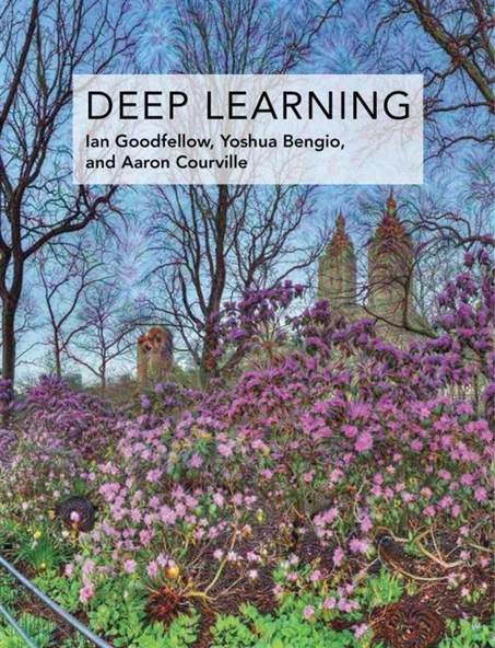 Deep Learning  -  Goodfellow