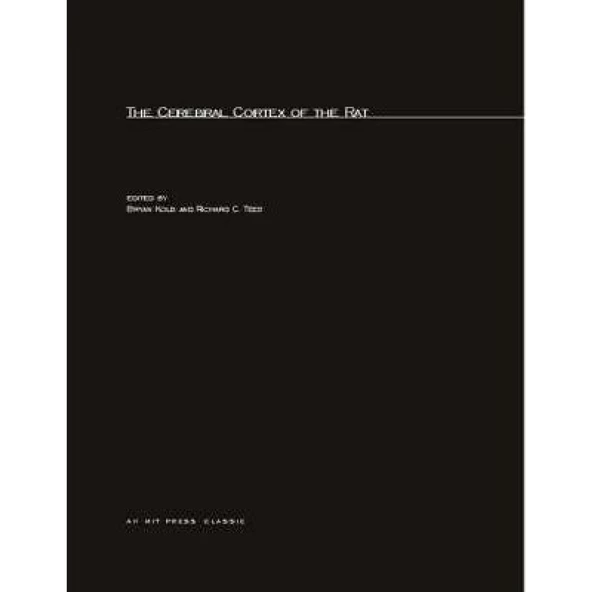 the cerebral cortex of the rat (kolb, tees)