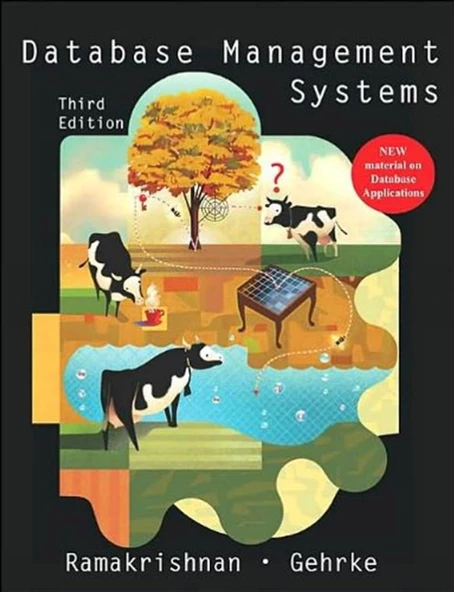 Database Management Systems 3rd (Raghu Ramakrishnan)