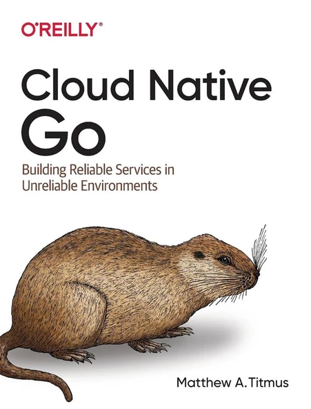 Cloud Native Go: Building Reliable Services in Unreliable Environments 1st Edición ürün görseli