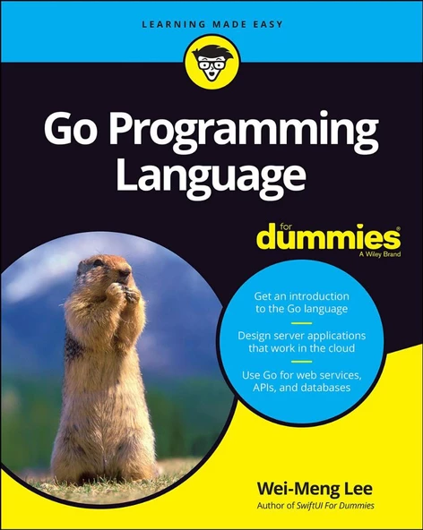 Go Programming Language For Dummies (For Dummies (Computer/Tech)) 1st Edition ürün görseli