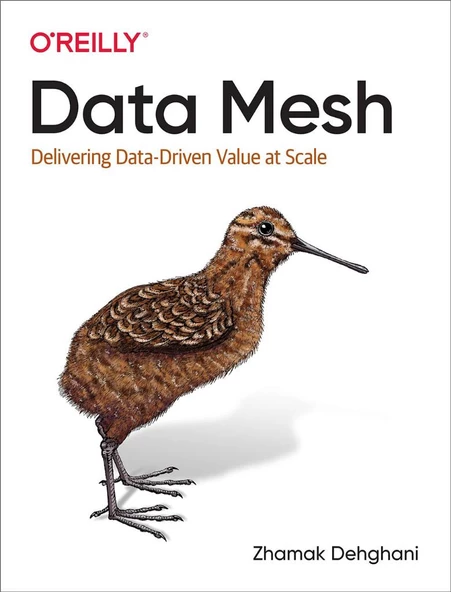 Data Mesh: Delivering Data-Driven Value at Scale Zhamak Dehghani ürün görseli 1
