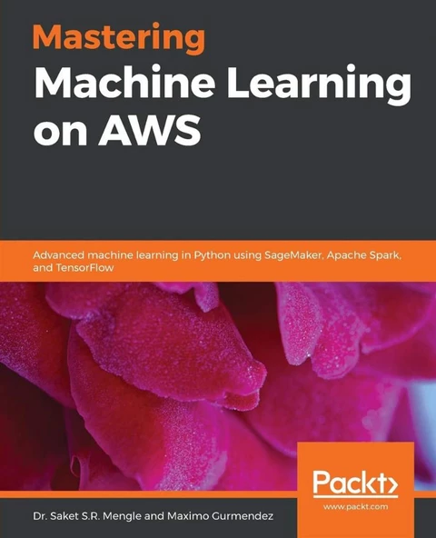 Mastering Machine Learning on AWS: Advanced machine learning in Python using SageMaker, Apache Spark, and TensorFlow Dr. Saket S.R. Mengle ürün görseli 1