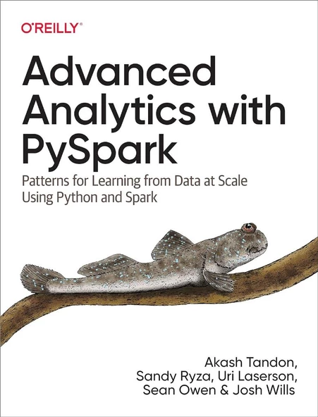 Advanced Analytics with PySpark: Patterns for Learning from Data at Scale Using Python and Spark Tandon Ryza - Resim 2