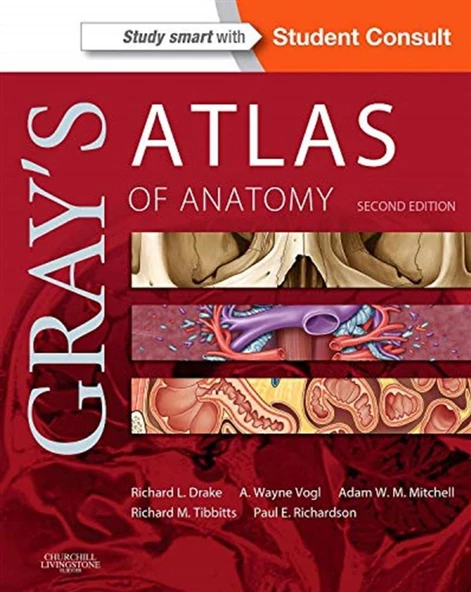 Gray's Atlas of Anatomy (Gray's Anatomy) 2nd Edition Richard Drake PhD