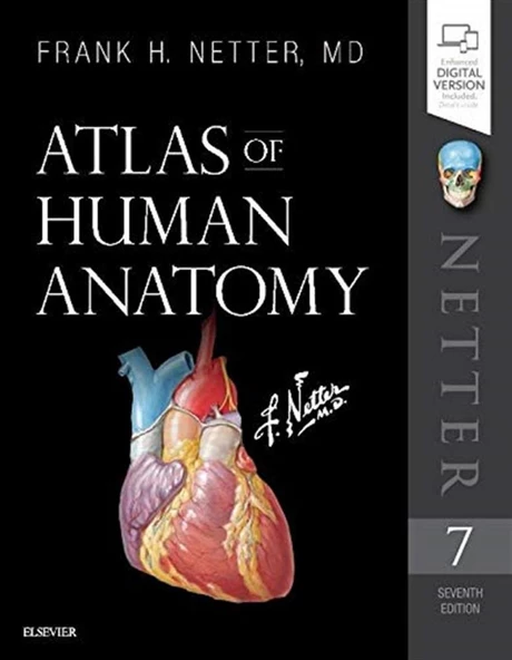 Atlas of Human Anatomy (Netter Basic Science) 7th Edition Frank H. Netter MD