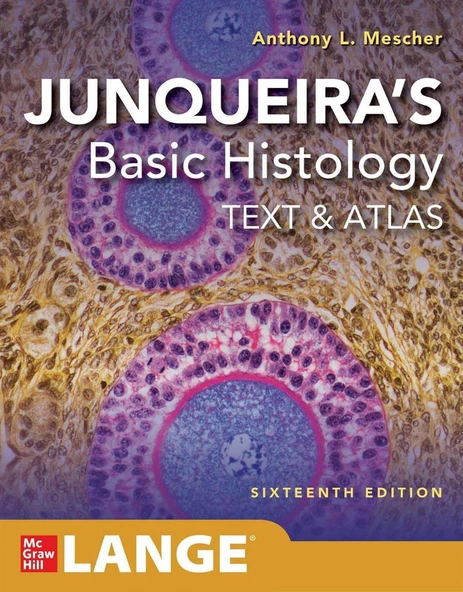 Junqueira's Basic Histology: Text and Atlas, Sixteenth Edition 16th Edition Anthony L. Mescher