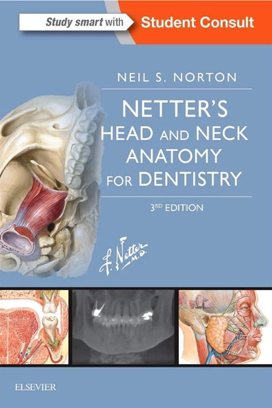 Netter's Head and Neck Anatomy for Dentistry (Netter Basic Science) 3rd Edition Neil S. Norton PhD ürün görseli 1