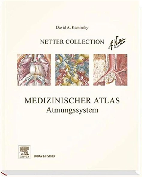 Netter Collection, Medizinischer Atlas, Atmungssystem: mit Zugang zum Elsevier-Portal David A. Kaminsky