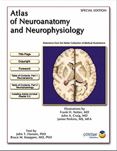 Atlas of Neuroanatomy and Neurophysiology: Selections from the Netter Collection of Medical Illustrations Frank H. M. D Netter ürün görseli 1
