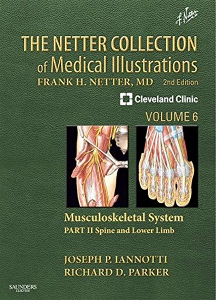 The Netter Collection of Medical Illustrations: Musculoskeletal System, Volume 2nd Edition Joseph Iannotti M.D. Ph.D. , Richard Parker M.D.