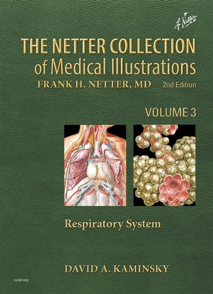 Netter Collection of Medical Illustrations: Respiratory System: Volume 3 (Netter Green Book Collection) David Kaminsky