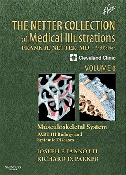 The Netter Collection of Medical Illustrations: Musculoskeletal System, Volume 2nd Edition Joseph Iannotti M.D. Ph.D. ürün görseli 1