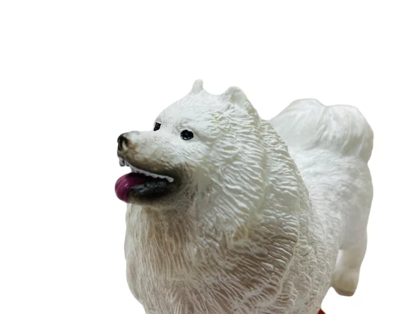Soft Köpekler - Samoyed Cinsi Köpek  - E013 - 4
