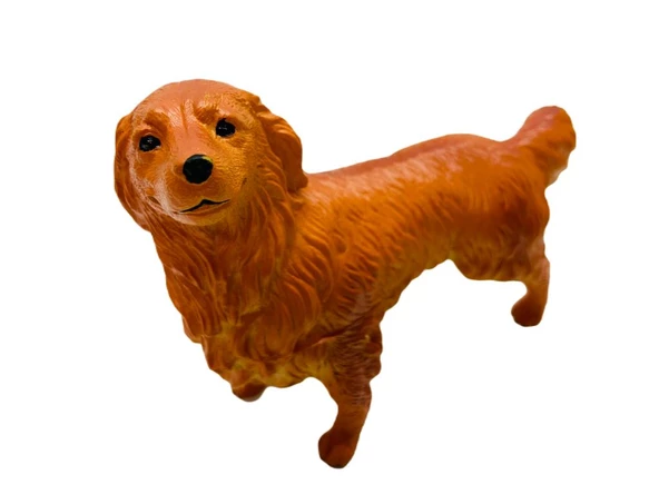 Soft Köpekler - Collie Cinsi Köpek - E013 - 3