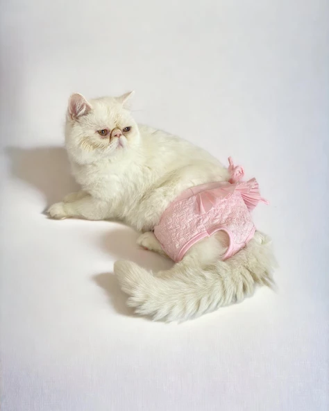 Rosie Rose Kemique's Secret Kedi İç Çamaşırı Regl Külot Don - 3