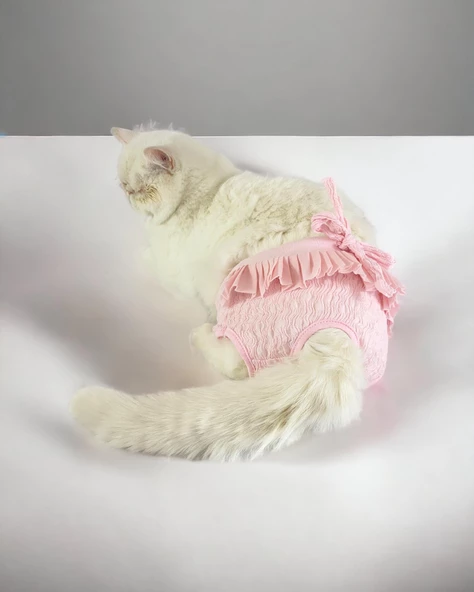 Rosie Rose Kemique's Secret Kedi İç Çamaşırı Regl Külot Don - 7