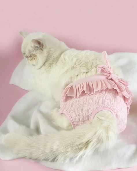 Rosie Rose Kemique's Secret Kedi İç Çamaşırı Regl Külot Don - 2