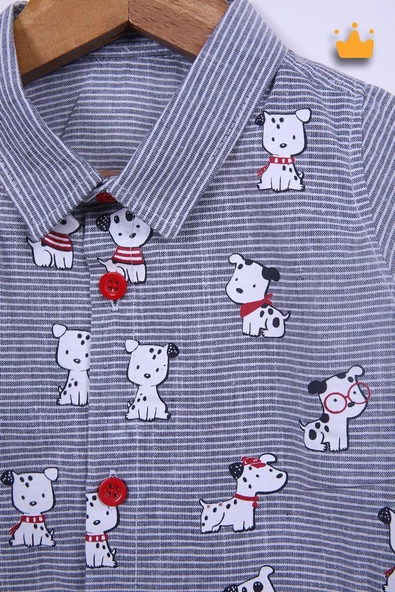 Babyhola Kısa Kol Gömlek Tshirt Pantolon Erkek Çocuk Takım 3'lü 1150 - 4