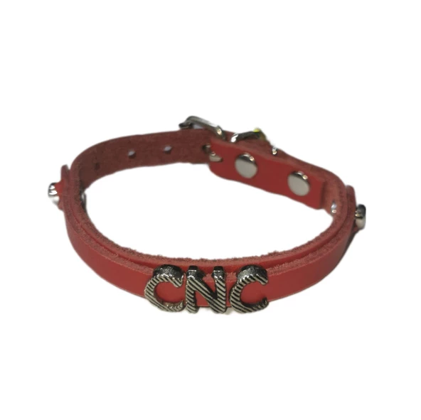 MegaPati Gerçek Deriden İsimli Kedi Köpek Boyun Tasması XL 26-30cm - 4