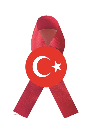 yıldızkurdelaankara FİYONK SATEN KURDELA ARKASI İĞNELİ BOŞ 10 ADET - 2