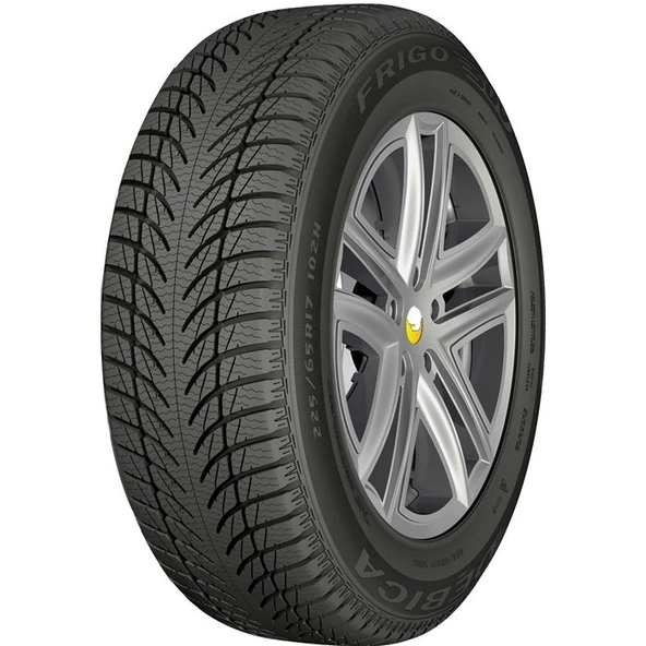 Debica 225/65R17 106H Frigo Suv 2 Kış Lastiği (2022)