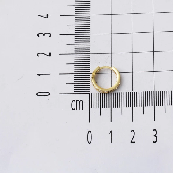 14 Ayar Uğur Böceği Halka Altın Çocuk Küpesi - Resim 5