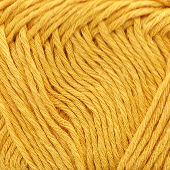 Rozetti Roze-Panç / Hardal Sarı / 40104 - Resim 2