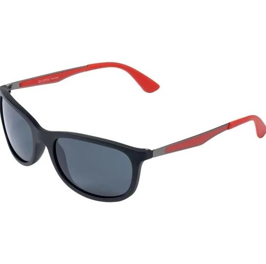 Santa Barbara Polo & Racquet Club Güneş Gözlüğü SB1060COL02