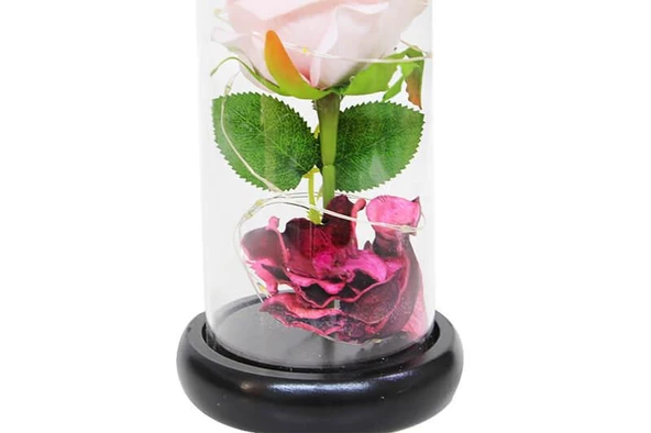 Fanus Çiçek 19/10cm Cam Fanus Hediyelik Led Işıklı - 3
