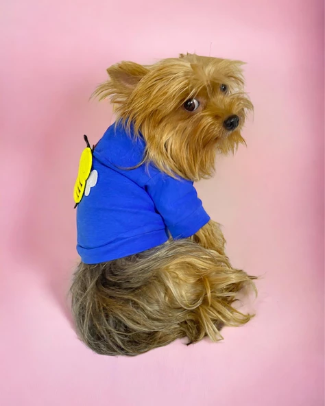 Navy Bee Oval Yaka Tişört Köpek Kıyafeti Köpek Elbisesi - 5