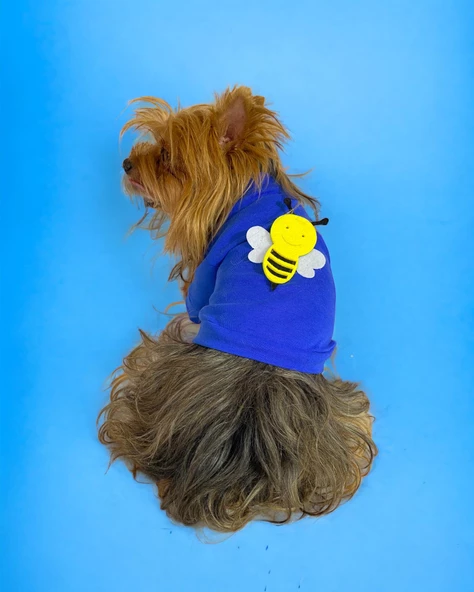 Navy Bee Oval Yaka Tişört Köpek Kıyafeti Köpek Elbisesi - 2