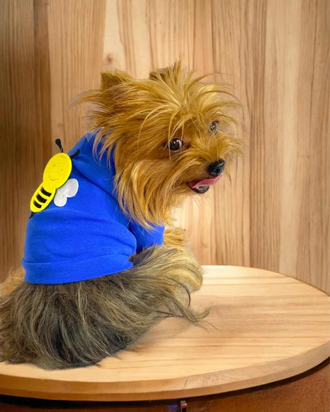Navy Bee Oval Yaka Tişört Köpek Kıyafeti Köpek Elbisesi - 3