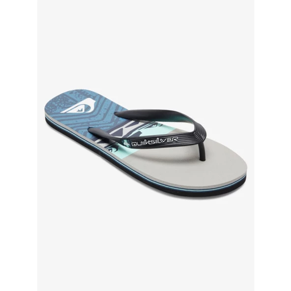 Quiksilver MOLOKAI PANEL Erkek Ayakkabı AQYL101263-QK.XSKB