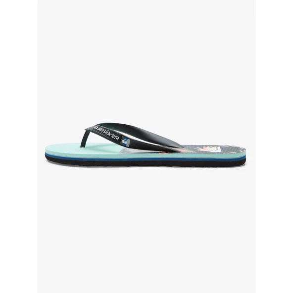 Quiksilver MOLOKAI PANEL Erkek Terlik AQYL101263-QK.XKBS - 2