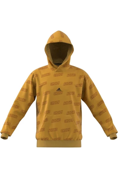 adidas Erkek SWEATSHİRT IJ6429 - 9