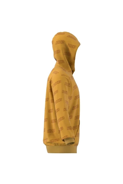 adidas Erkek SWEATSHİRT IJ6429 - 11