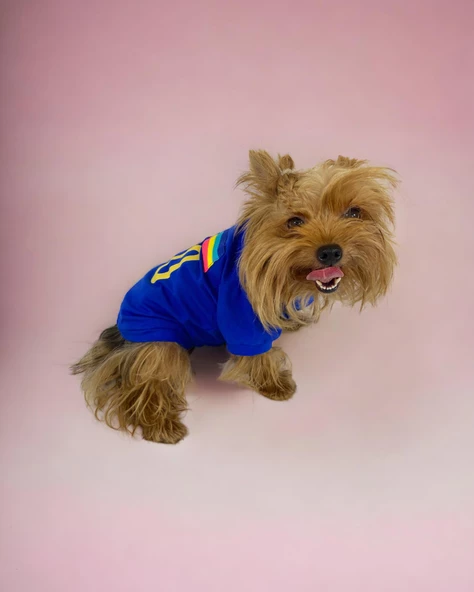 Uno Blue Köpek Tişörtü - 4