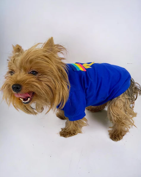 Uno Blue Köpek Tişörtü - 3