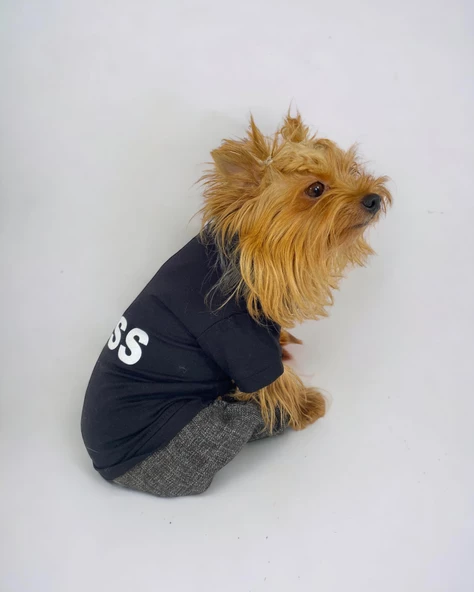 Chique Boss Tulum Köpek Kıyafeti - 6