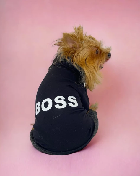 Chique Boss Tulum Köpek Kıyafeti - 10